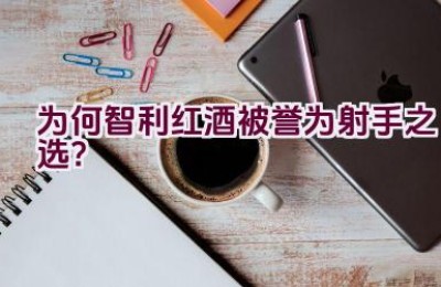 “为何智利红酒被誉为射手之选？”