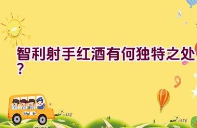 智利射手红酒有何独特之处？