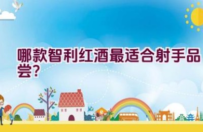 哪款智利红酒最适合射手品尝？