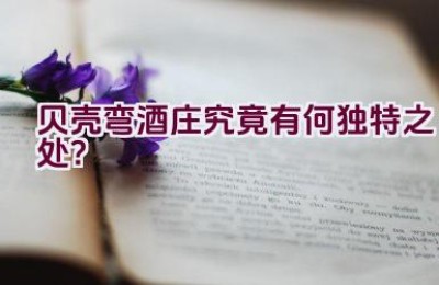 贝壳弯酒庄究竟有何独特之处？