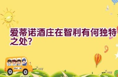 爱蒂诺酒庄在智利有何独特之处？