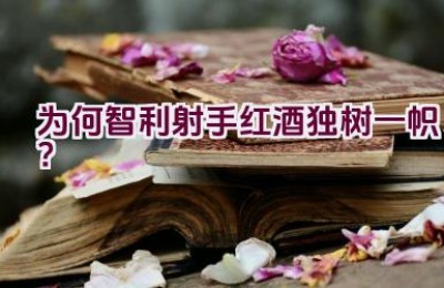 为何智利射手红酒独树一帜？