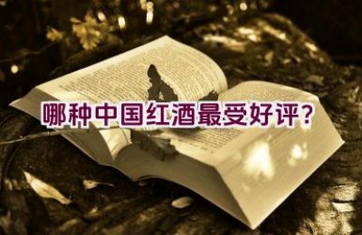 哪种中国红酒最受好评？