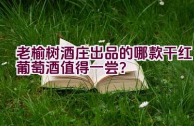老榆树酒庄出品的哪款干红葡萄酒值得一尝？