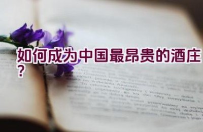 如何成为中国最昂贵的酒庄？